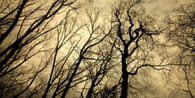 Is Halloween Pagan in Origin?